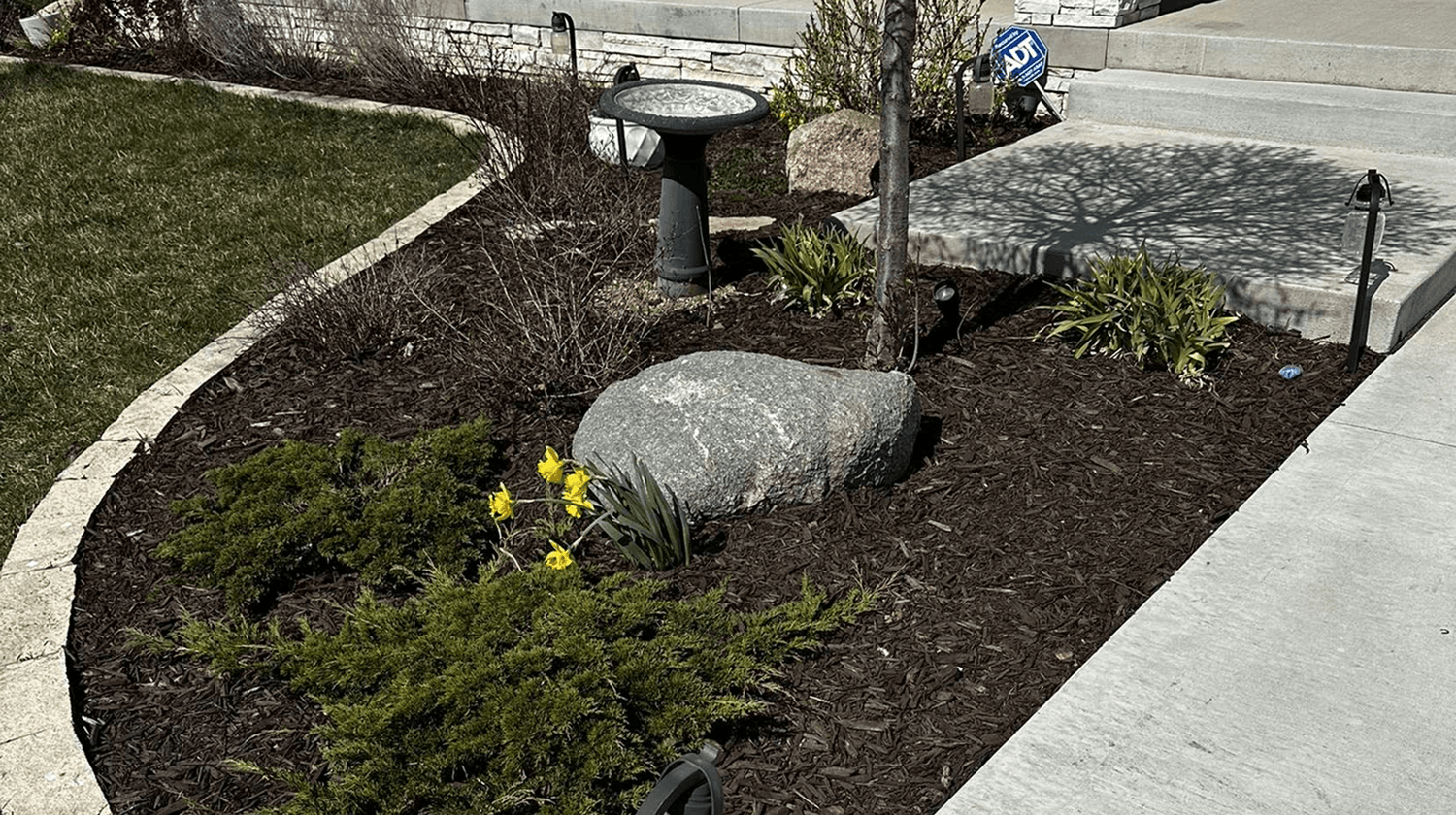 Front yard landscape rework with fresh mulch, decorative edging, and trimmed plants near concrete steps.