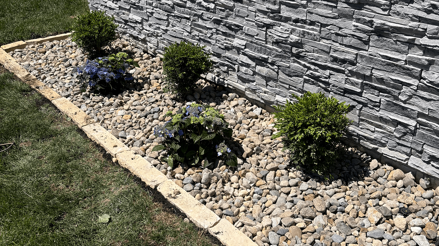 Plant installation with flowering shrubs and decorative rock bed along a stone wall.